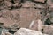 Ancient Petroglyphs on the Rocks at Yerbas Buenas in Atacama Desert, Chile, South America