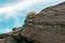 Ancient Petroglyphs on the Rocks at Yerbas Buenas in Atacama Desert, Chile, South America