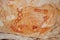 Ancient pictographs in Grand Canyon