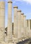 Ancient pillars at the city of beit shean