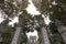 Ancient pillars at the main entrance of the Temple of Literature - Vietnam`s first national university built in 1070