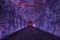 Ancient Rarilway Tunnel lighted in Purple, Brockville, Ontario,