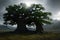 An ancient Realistic haunted tree, magical and fantasy