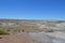 Ancient Riverbed of Petrified National Forest desert floor Panorama