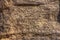 The ancient rock inscriptions in Wadi Massal