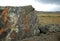 Ancient rock paintings on the flat vertical surface of a large stone boulder