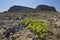 Ancient rocks and mountain in Favignana island. Sicily. Italy