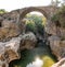 Ancient Roman bridge as known as `Bugrum` bridge. Koprucay river landscape from Koprulu Canyon National Park in Manavgat, Antalya