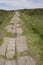 Ancient roman road and cart tracks