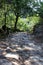 Ancient roman road in the forest, paved with large stones, Braga District, Portugal