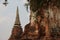 Ancient Round And Bell Shape Pagoda With Brick Walls