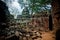 Ancient ruin of the Ta Phrom temple, Angkor Wat Cambodia