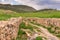 Ancient ruined settlement road Pamukkale Turkey