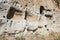 Ancient ruins in Bandelier National Monument