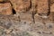 Ancient Ruins at Chaco Canyon