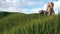 Ancient Ruins in a Grass Field moved by Wind - Nature Landscape Loop Background