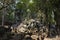 Ancient ruins of Krol Ko temple in Angkor Wat complex, Cambodia. Demolished stone pile in tropical forest