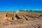 Ancient ruins of Numancia near Soria, Spain