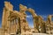 The ancient ruins of Palmyra