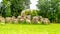 Ancient ruins of Ratu Boko Palace, Yogyakarta