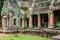 Ancient ruins in Ta Prohm or Rajavihara Temple at Angkor, Siem R