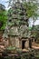 Ancient ruins in Ta Prohm or Rajavihara Temple at Angkor, Siem R