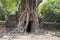 Ancient ruins of Ta Som temple in Angkor Wat complex, Cambodia. Stone temple ruin with jungle tree aerial roots