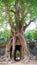 Ancient ruins of Ta Som temple in Angkor Wat complex, Siem Reap Cambodia. Stone temple door gate ruin with jungle tree aerial