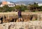 Ancient ruins Tombs of the Kings in Paphos, Cyprus. Young tourist look down into a one of many tombs in this historical park and