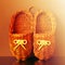 Ancient russian shoes