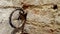 Ancient rusty wall ring