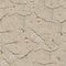 Ancient Sandstone Seamless Texture.