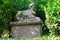 Ancient sculpture, Sphinx, at the famous Parco dei Mostri, also called Sacro Bosco or Giardini di Bomarzo. Monsters park