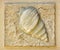 Ancient sea shell flat square textured background