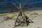 Ancient sign or setting up tepee fire on the beach