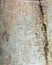 Ancient Signs on Column of Holy Sepulcher Cathedral in Jerusale