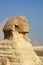 Ancient sphinx and Pyramid in Egypt