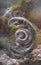 Ancient spiral carved in stone - abstract digital art