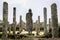 An ancient standing Buddha statue viewed from back with tall pillars aligned to give perspective