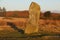 Ancient standing Stone in evening light at Mitchellâ€™s Fold Bronze Age stone circle, Stapeley Hill, Shropshire, UK