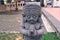 Ancient statue in Candi Mendut Monastery near Borobudur. Central Java, Indonesia