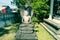 Ancient statue in Candi Mendut Monastery near Borobudur. Central Java, Indonesia