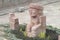 Ancient statue from Tiwanaku inca archaeological site