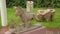 Ancient statues standing at open air museum, archeological heritage in Zagreb