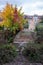 Ancient stepping stones across the River Brue near Packhorse Bridge in Bruton, Somerset UK, photographed in autumn.