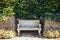 Ancient stone bench in a park surrounded by foliage and hedge. Traditional Italian style park exterior. Selective focus, copy
