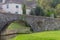 Ancient stone bridge in village, France. Medieval architecture. Narrow river with bridge in form of arch and buildings.