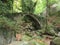 Ancient stone brigde in dense forrest on forgotten road