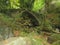 Ancient stone brigde in dense forrest on forgotten road