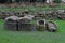 Ancient Stone Coffins